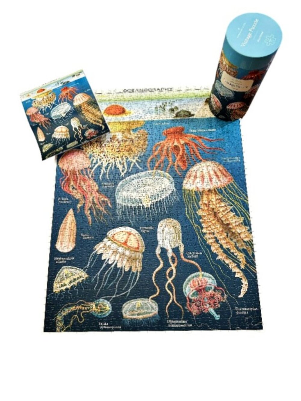 Cavallini JELLYFISH Vintage Puzzle 1000 Pieces 22 x 28 Inches MINT!! COMPLETE!!